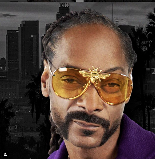PREORDER: Snoop Dogg in the I’ll Be Rich Forever Bee Sunglasses in Cali Chrome Yellow  SUNNIES + OPTICS Sunglasses Collection, Tnemnroda man- NRODA