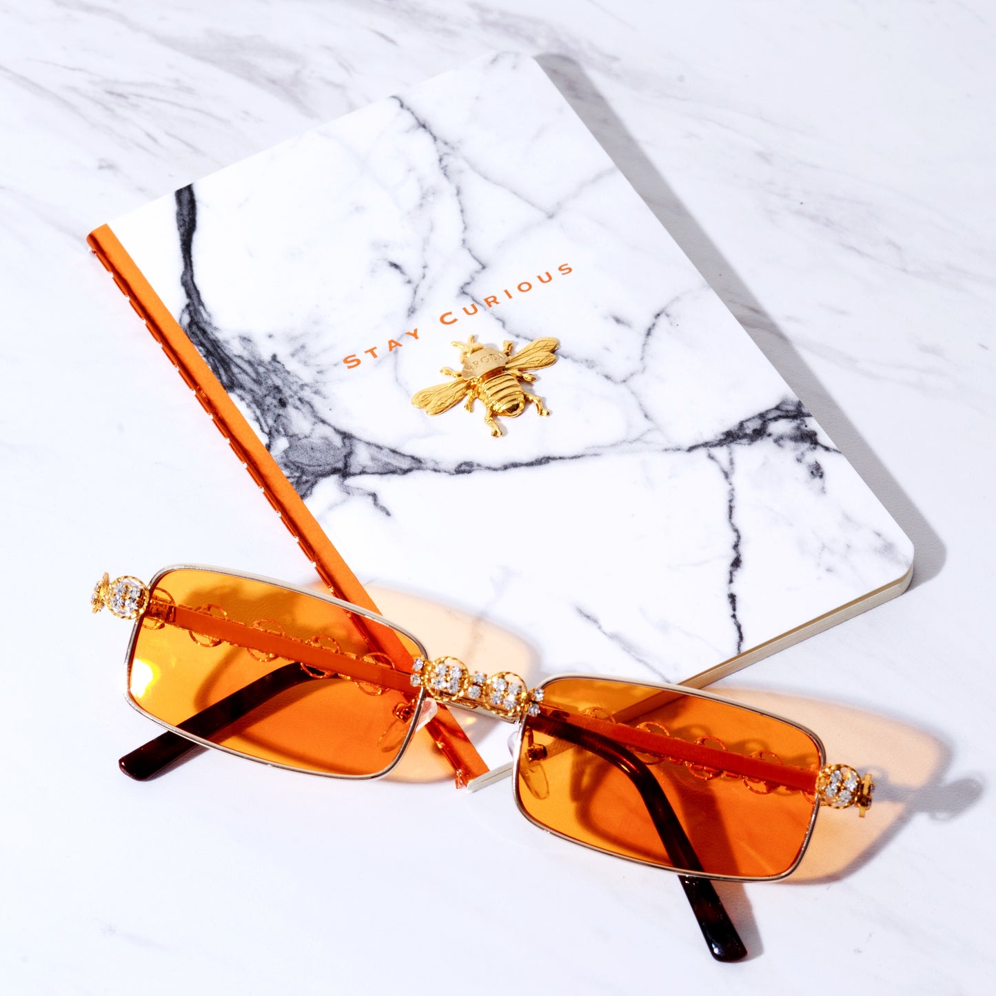 Nroda Bee Gratitude Journal - "Take Epic Chances" Stay Curious notebook NRODA- NRODA